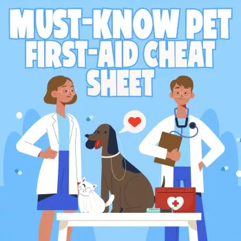 Printable Pet First-Aid Cheat Sheet for Emergencies